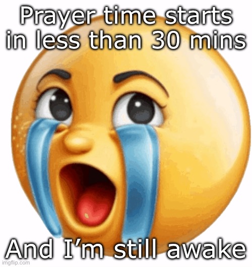 Realistic sob crying emoji | Prayer time starts in less than 30 mins; And I’m still awake | image tagged in realistic sob crying emoji | made w/ Imgflip meme maker