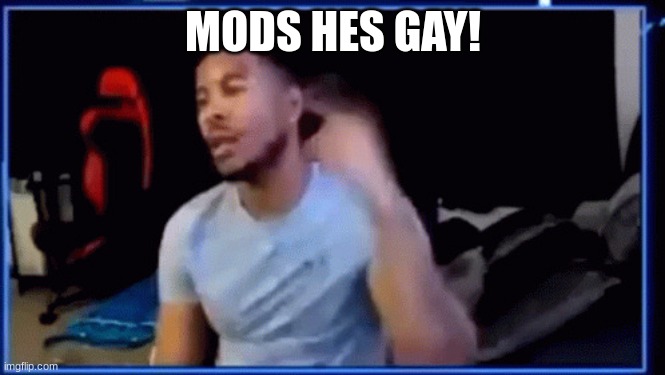Mods ban him | MODS HES GAY! | image tagged in mods ban him | made w/ Imgflip meme maker