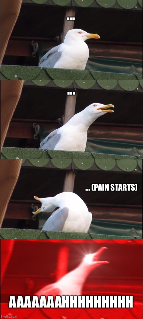 … … … (PAIN STARTS) AAAAAAAHHHHHHHHH | image tagged in memes,inhaling seagull | made w/ Imgflip meme maker
