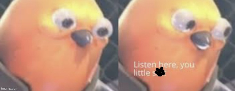 Listen here you little shit bird | image tagged in listen here you little shit bird | made w/ Imgflip meme maker