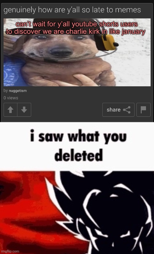 also, congrats on being more brainrotted than a whole website | image tagged in i saw what you deleted | made w/ Imgflip meme maker