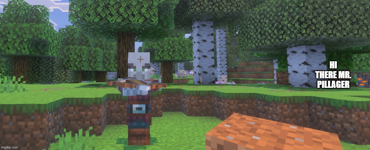 Pillager | HI THERE MR. PILLAGER | image tagged in pillager | made w/ Imgflip meme maker