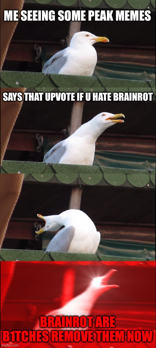 =) | ME SEEING SOME PEAK MEMES; SAYS THAT UPVOTE IF U HATE BRAINROT; BRAINROT ARE B1TCHES REMOVE THEM NOW | image tagged in memes,inhaling seagull | made w/ Imgflip meme maker