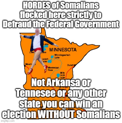 Travel Agencies actually had Special Junkets | HORDES of Somalians flocked here strictly to Defraud the Federal Government; Not Arkansa or Tennesee or any other state you can win an election WITHOUT Somalians | image tagged in minnesota fraud somalians meme | made w/ Imgflip meme maker