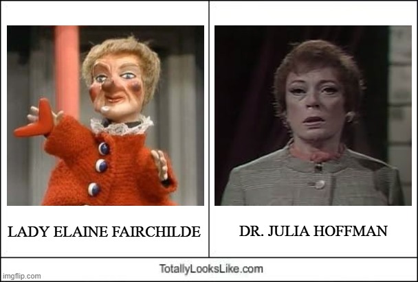 Strange How My Mind Works | LADY ELAINE FAIRCHILDE; DR. JULIA HOFFMAN | image tagged in totally looks like,mr rogers,dr hoffman,dark shadows,redheads,twins | made w/ Imgflip meme maker