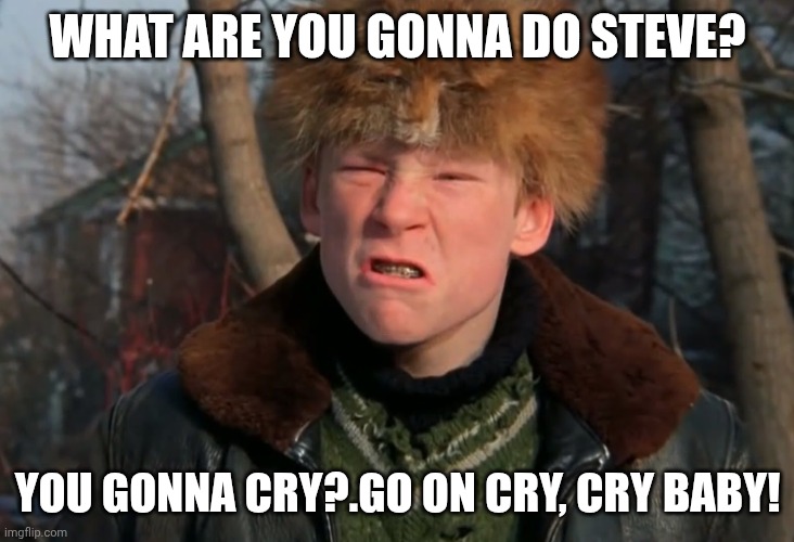 A Christmas Story | WHAT ARE YOU GONNA DO STEVE? YOU GONNA CRY?.GO ON CRY, CRY BABY! | image tagged in a christmas story | made w/ Imgflip meme maker