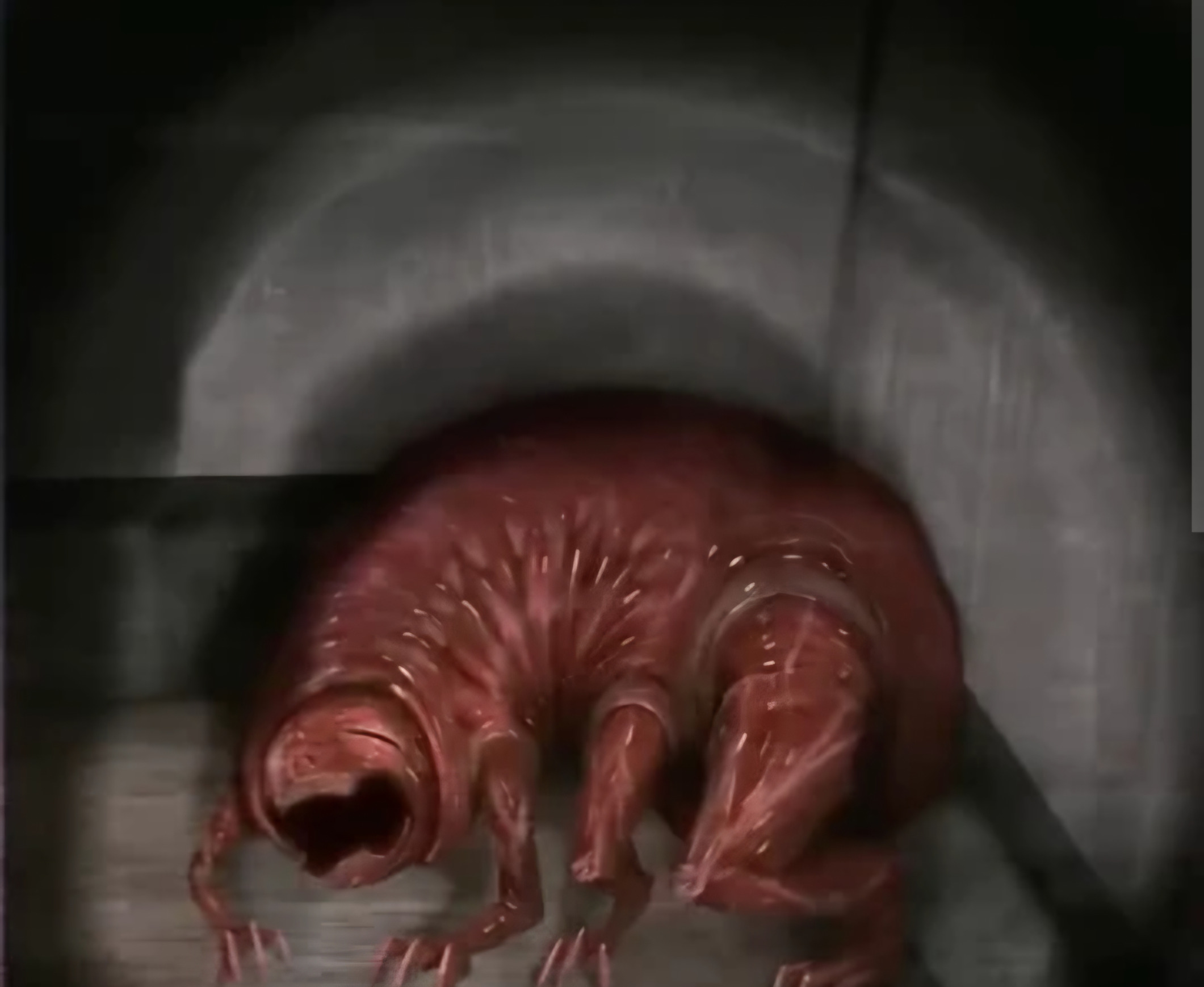 SCP-1480-IK Blank Meme Template