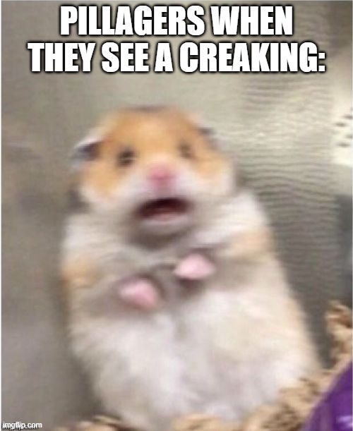 Scared Hamster | PILLAGERS WHEN THEY SEE A CREAKING: | image tagged in scared hamster | made w/ Imgflip meme maker