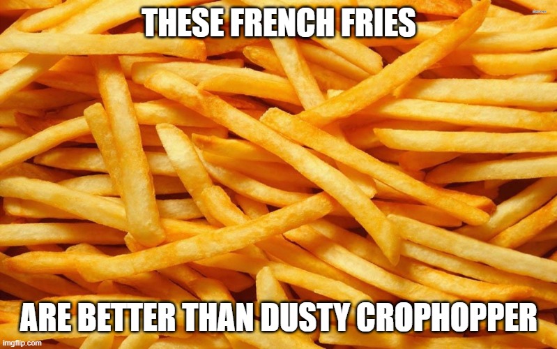 French Fries | THESE FRENCH FRIES; ARE BETTER THAN DUSTY CROPHOPPER | image tagged in french fries | made w/ Imgflip meme maker
