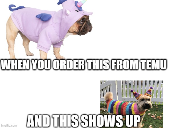 when you buy from temu | WHEN YOU ORDER THIS FROM TEMU; AND THIS SHOWS UP | image tagged in funny meme | made w/ Imgflip meme maker