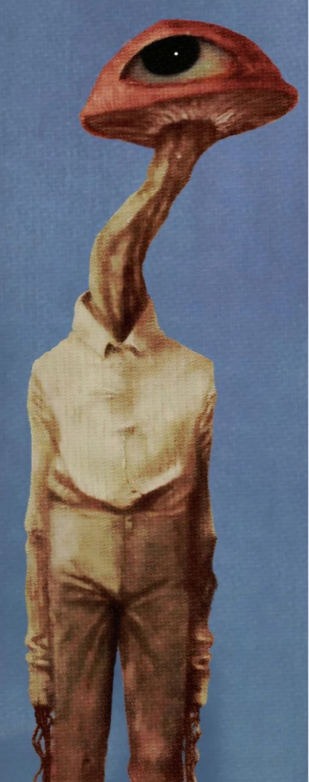 SCP-2745-LR Blank Meme Template