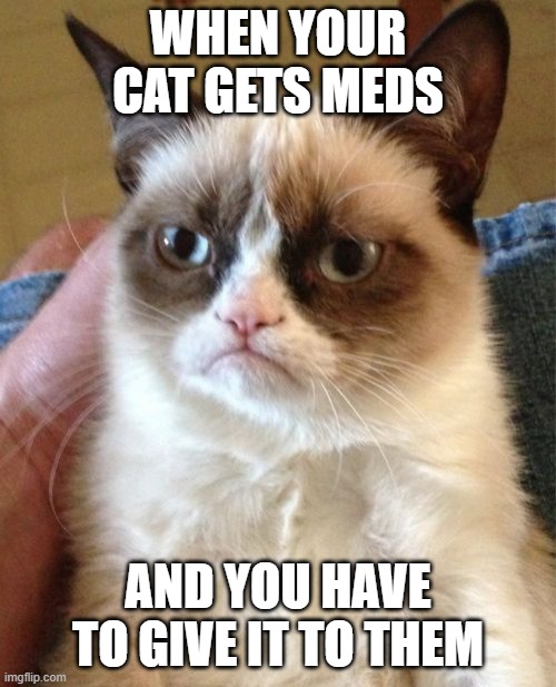 Grumpy Cat | WHEN YOUR CAT GETS MEDS; AND YOU HAVE TO GIVE IT TO THEM | image tagged in memes,grumpy cat | made w/ Imgflip meme maker