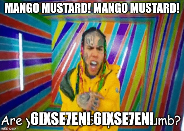 Mango mustard! Mango mustard! 6ixse7en! 6ixse7en! | MANGO MUSTARD! MANGO MUSTARD! 6IXSE7EN! 6IXSE7EN! | image tagged in are you dumb stupid or dumb | made w/ Imgflip meme maker