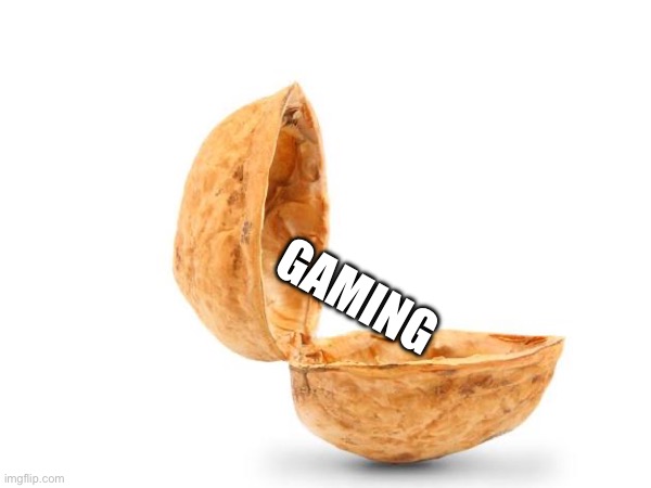 gaming in a nutshell | GAMING | image tagged in gaming,fun,memes,funny,in a nutshell,word play | made w/ Imgflip meme maker