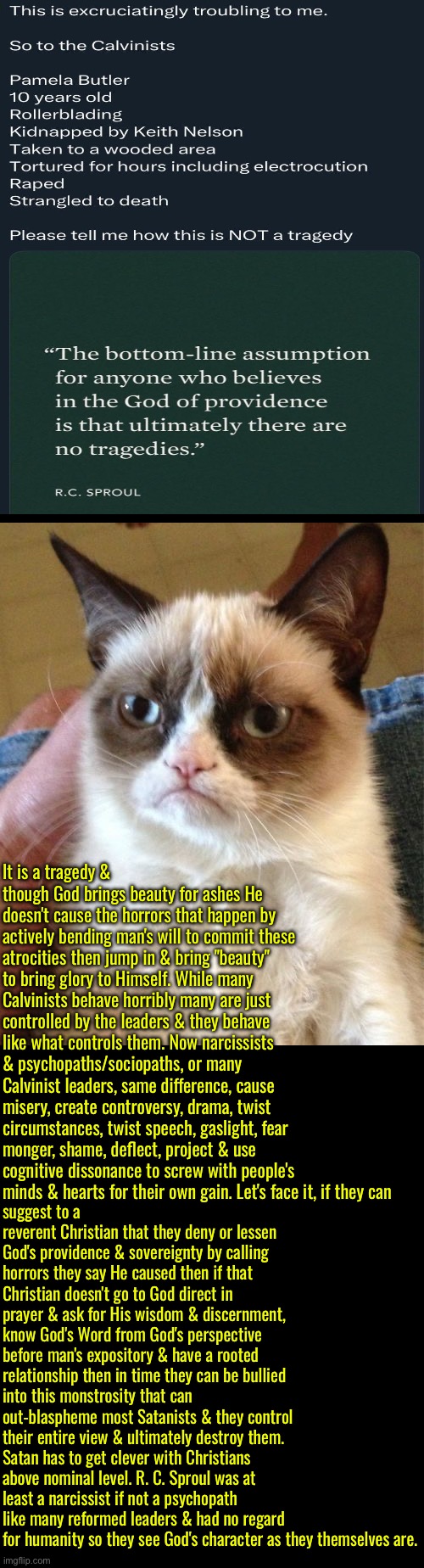 It's also tragic that Calvinist leaders are allowed near any pulpit | It is a tragedy & though God brings beauty for ashes He doesn't cause the horrors that happen by actively bending man's will to commit these atrocities then jump in & bring "beauty" to bring glory to Himself. While many Calvinists behave horribly many are just controlled by the leaders & they behave like what controls them. Now narcissists & psychopaths/sociopaths, or many Calvinist leaders, same difference, cause misery, create controversy, drama, twist circumstances, twist speech, gaslight, fear monger, shame, deflect, project & use cognitive dissonance to screw with people's minds & hearts for their own gain. Let's face it, if they can; suggest to a reverent Christian that they deny or lessen God's providence & sovereignty by calling horrors they say He caused then if that Christian doesn't go to God direct in prayer & ask for His wisdom & discernment, know God's Word from God's perspective before man's expository & have a rooted relationship then in time they can be bullied into this monstrosity that can out-blaspheme most Satanists & they control their entire view & ultimately destroy them. Satan has to get clever with Christians above nominal level. R. C. Sproul was at least a narcissist if not a psychopath like many reformed leaders & had no regard for humanity so they see God's character as they themselves are. | image tagged in grumpy cat,calvinism,calvinist memes,anti calvinism,psychopath,reformed theology narcissists | made w/ Imgflip meme maker