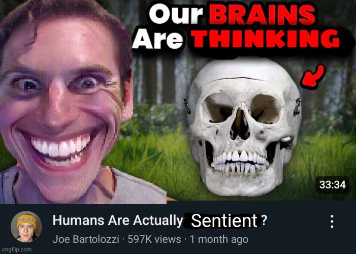 Our Brains Are Shrinking | THINKING; Sentient | image tagged in our brains are shrinking | made w/ Imgflip meme maker