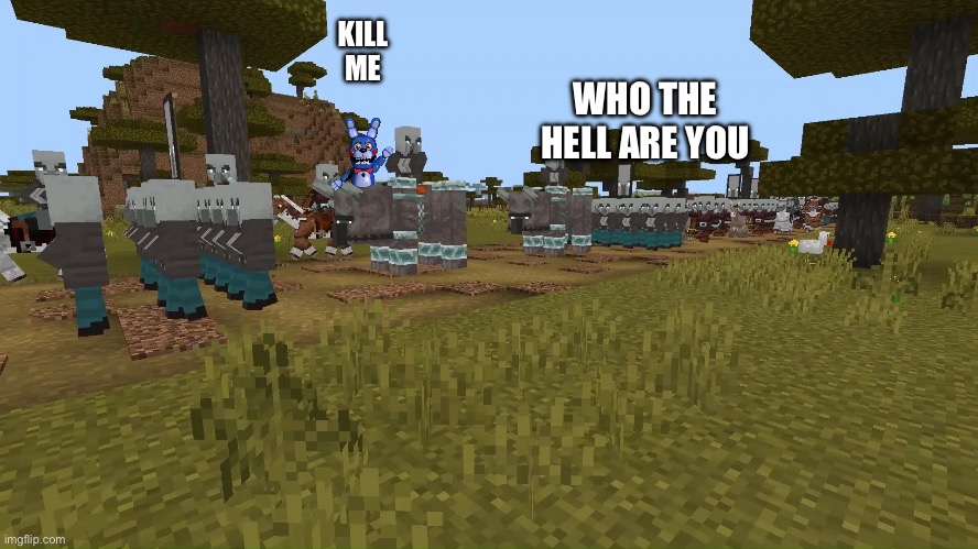 Army Of Illagers | KILL ME; WHO THE HELL ARE YOU | image tagged in army of illagers | made w/ Imgflip meme maker