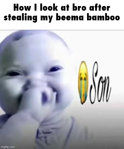 son | How I look at bro after stealing my beema bamboo | image tagged in son | made w/ Imgflip meme maker