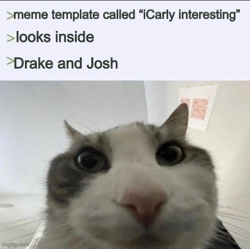 Cat looks inside | meme template called “iCarly interesting” looks inside Drake and Josh | image tagged in cat looks inside | made w/ Imgflip meme maker