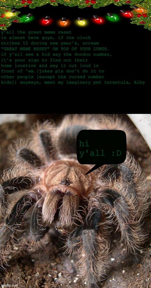 Alby's kinda cool, right? (sorry, arachnophobics) | y'all the great meme reset is almost here guys, if the clock strikes 12 during new year's, scream "GREAT MEME RESET" ON TOP OF YOUR LUNGS. if y'all see a kid say the doodoo number, it's your sign to find out their home location and say it out loud in front of 'em.(jokes pls don't do it to other people [except the cursed number kids]) anyways, meet my imaginary pet tarantula, Alby; hi y'all :D | image tagged in memes,reset,new years | made w/ Imgflip meme maker