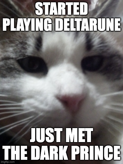 Sour Hart announcement template | STARTED PLAYING DELTARUNE; JUST MET THE DARK PRINCE | image tagged in sour hart announcement template | made w/ Imgflip meme maker