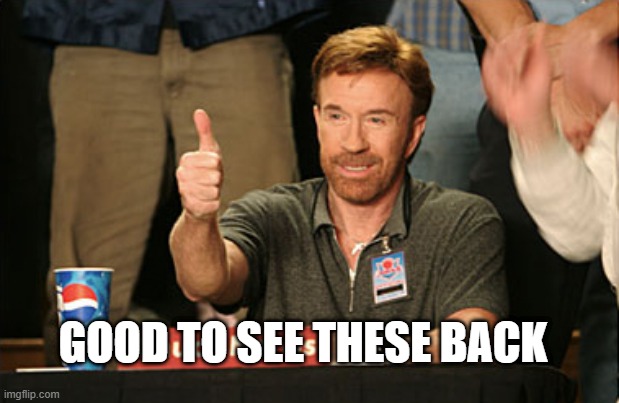 Chuck Norris Approves Meme | GOOD TO SEE THESE BACK | image tagged in memes,chuck norris approves,chuck norris | made w/ Imgflip meme maker