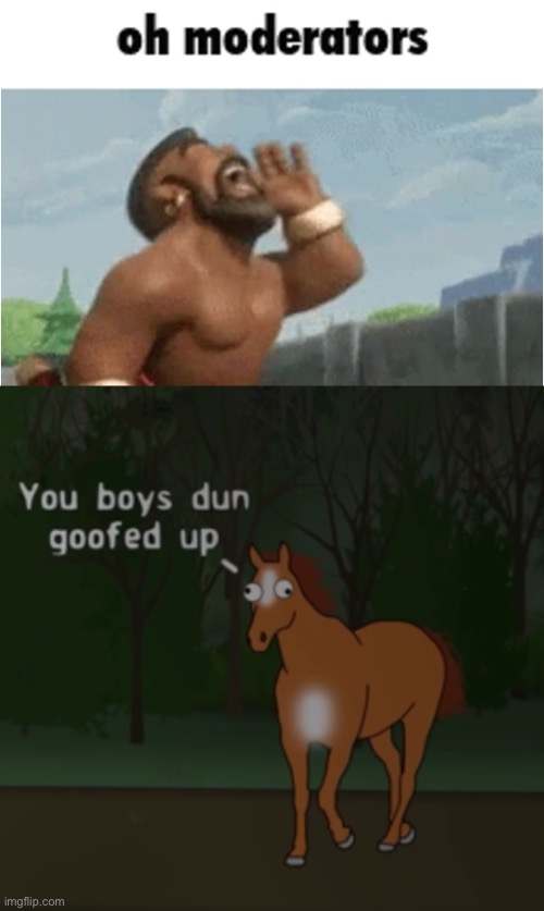 Goofballs, all of us | image tagged in oh moderators,you boys dun goofed up | made w/ Imgflip meme maker