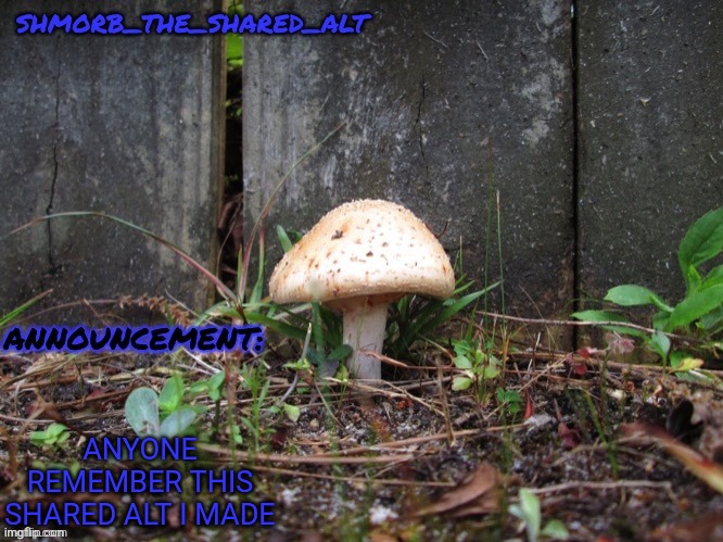 Shmorb temp | ANYONE REMEMBER THIS SHARED ALT I MADE | image tagged in shmorb temp | made w/ Imgflip meme maker