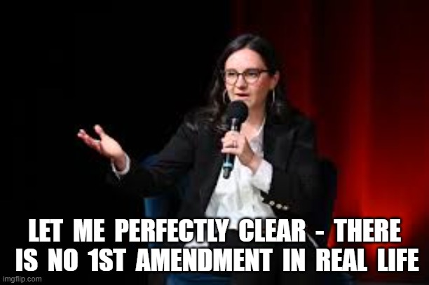 Constitution vs. Real Life | LET  ME  PERFECTLY  CLEAR  -  THERE  IS  NO  1ST  AMENDMENT  IN  REAL  LIFE | image tagged in the constitution | made w/ Imgflip meme maker