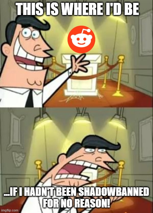 f reddit brah | THIS IS WHERE I'D BE; ...IF I HADN'T BEEN SHADOWBANNED
FOR NO REASON! | image tagged in memes,this is where i'd put my trophy if i had one | made w/ Imgflip meme maker