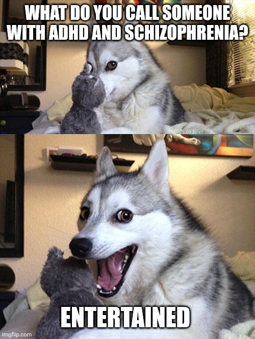 Bad Pun Husky | WHAT DO YOU CALL SOMEONE WITH ADHD AND SCHIZOPHRENIA? ENTERTAINED | image tagged in bad pun husky | made w/ Imgflip meme maker