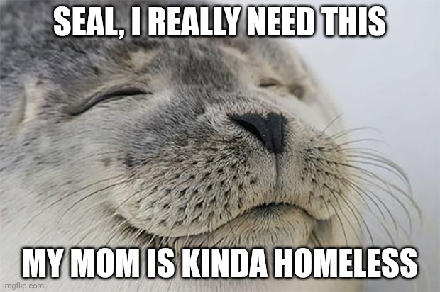 My Mom is Kinda Homeless | SEAL, I REALLY NEED THIS; MY MOM IS KINDA HOMELESS | image tagged in memes,satisfied seal | made w/ Imgflip meme maker