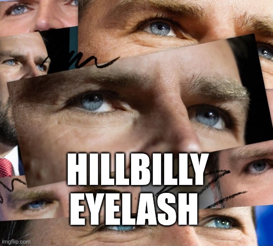 Hillbilly Eyelash | HILLBILLY EYELASH | image tagged in jd vance,eyeliner,hillbilly,billie eilish,scumbag | made w/ Imgflip meme maker