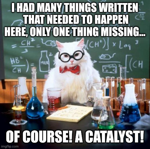 Chemistry Cat | I HAD MANY THINGS WRITTEN  THAT NEEDED TO HAPPEN HERE, ONLY ONE THING MISSING... OF COURSE! A CATALYST! | image tagged in memes,chemistry cat,catalyst | made w/ Imgflip meme maker