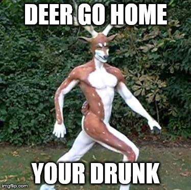 Deer go home your drunk | DEER GO HOME YOUR DRUNK | image tagged in deer,drunk,animals | made w/ Imgflip meme maker