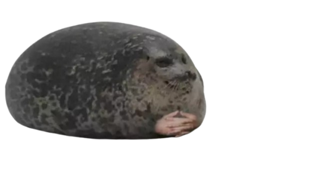 seal Blank Meme Template