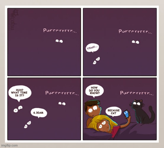 #13 | image tagged in catsuthecat,cats,cat,time,dark,purr | made w/ Imgflip meme maker