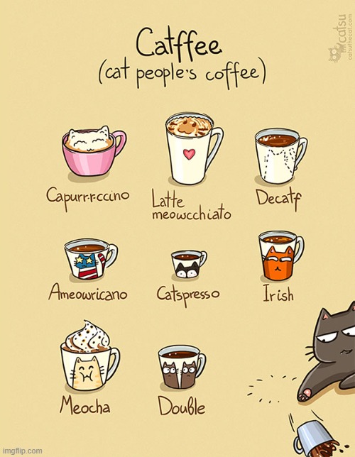 #15 | image tagged in catsuthecat,cats,cat,coffee,people,spill | made w/ Imgflip meme maker