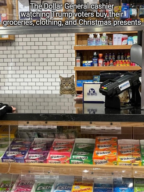 The economy they voted for | The Dollar General cashier watching Trump voters buy their groceries, clothing, and Christmas presents | image tagged in bodega cat cashier,scumbag republicans,terrorists,trailer trash,conservative hypocrisy,pedophiles | made w/ Imgflip meme maker