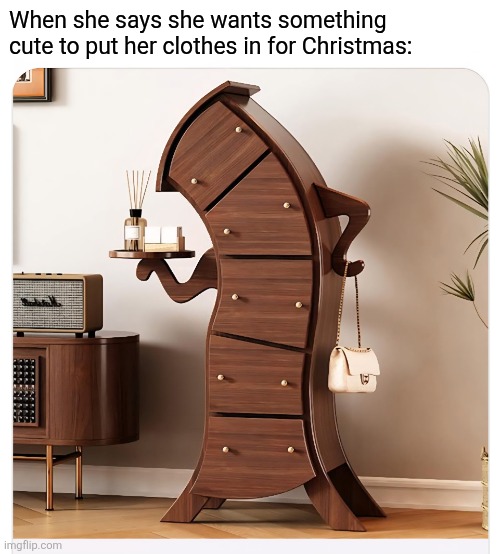 Follow me for more gift ideas! | When she says she wants something cute to put her clothes in for Christmas: | image tagged in christmas gifts,ideas,funny,furniture,christmas memes | made w/ Imgflip meme maker