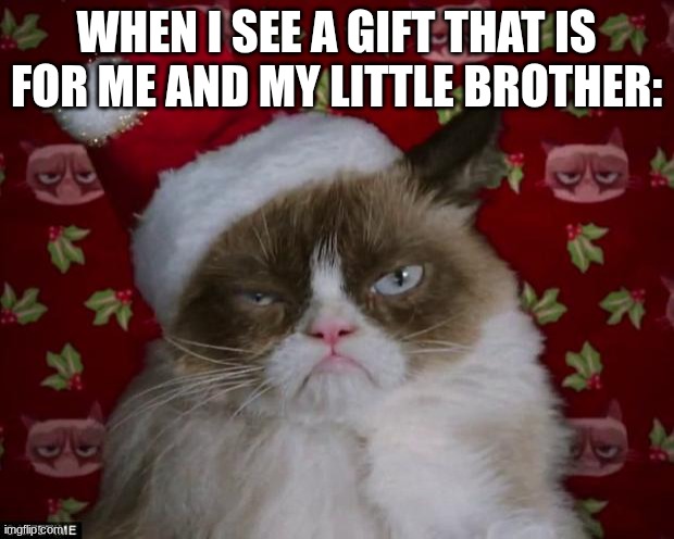 Grumpy Cat Christmas | WHEN I SEE A GIFT THAT IS FOR ME AND MY LITTLE BROTHER: | image tagged in grumpy cat christmas | made w/ Imgflip meme maker