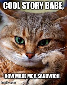 COOL STORY BABE, NOW MAKE ME A SANDWICH. | made w/ Imgflip meme maker