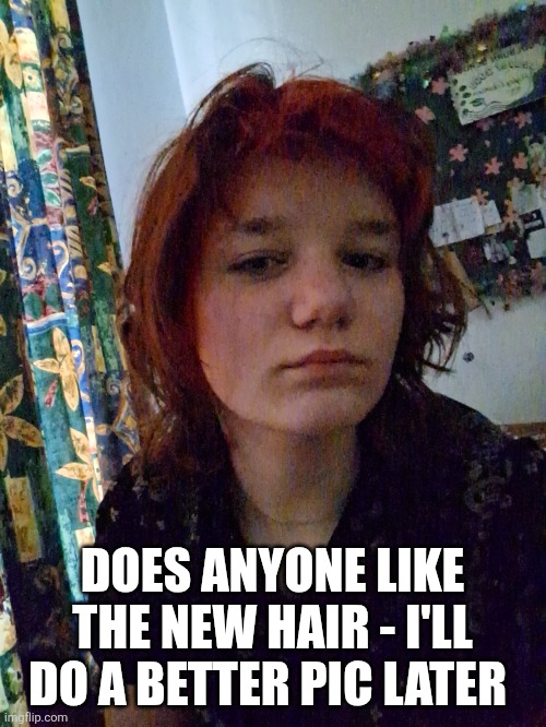 DOES ANYONE LIKE THE NEW HAIR - I'LL DO A BETTER PIC LATER | made w/ Imgflip meme maker