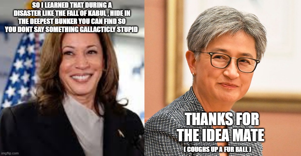 SO I LEARNED THAT DURING A DISASTER LIKE THE FALL OF KABUL , HIDE IN THE DEEPEST BUNKER YOU CAN FIND SO YOU DONT SAY SOMETHING GALLACTICLY STUPID; THANKS FOR THE IDEA MATE; ( COUGHS UP A FUR BALL ) | made w/ Imgflip meme maker