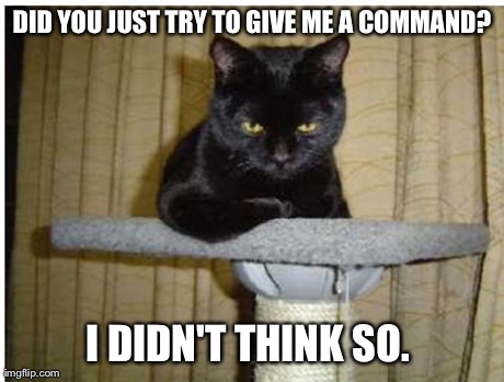 DID YOU JUST TRY TO GIVE ME A COMMAND? I DIDN'T THINK SO. | made w/ Imgflip meme maker