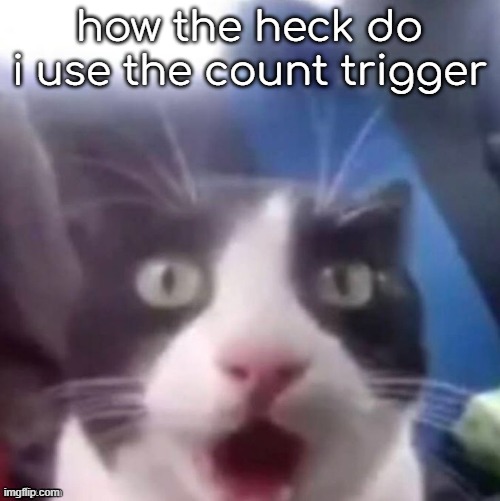 cat shocked | how the heck do i use the count trigger | image tagged in cat shocked | made w/ Imgflip meme maker