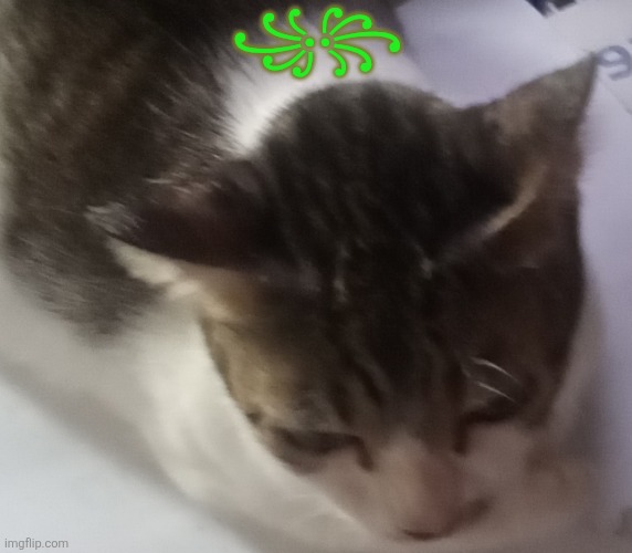 And there it is again | ꧁꧂ | image tagged in ming mong | made w/ Imgflip meme maker