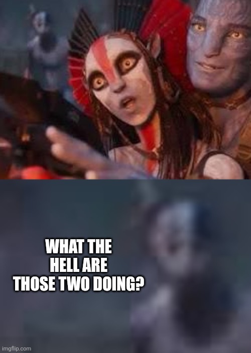 WHAT THE HELL ARE THOSE TWO DOING? | image tagged in memes,avatar,movie | made w/ Imgflip meme maker