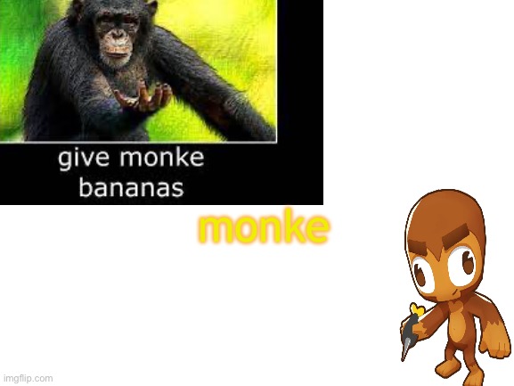 Monke | monke | image tagged in blank white template | made w/ Imgflip meme maker