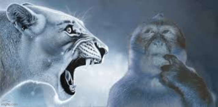 average packgod video | made w/ Imgflip meme maker